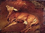 Sir Edwin Henry Landseer Canvas Paintings - Study Of A Dead Stag